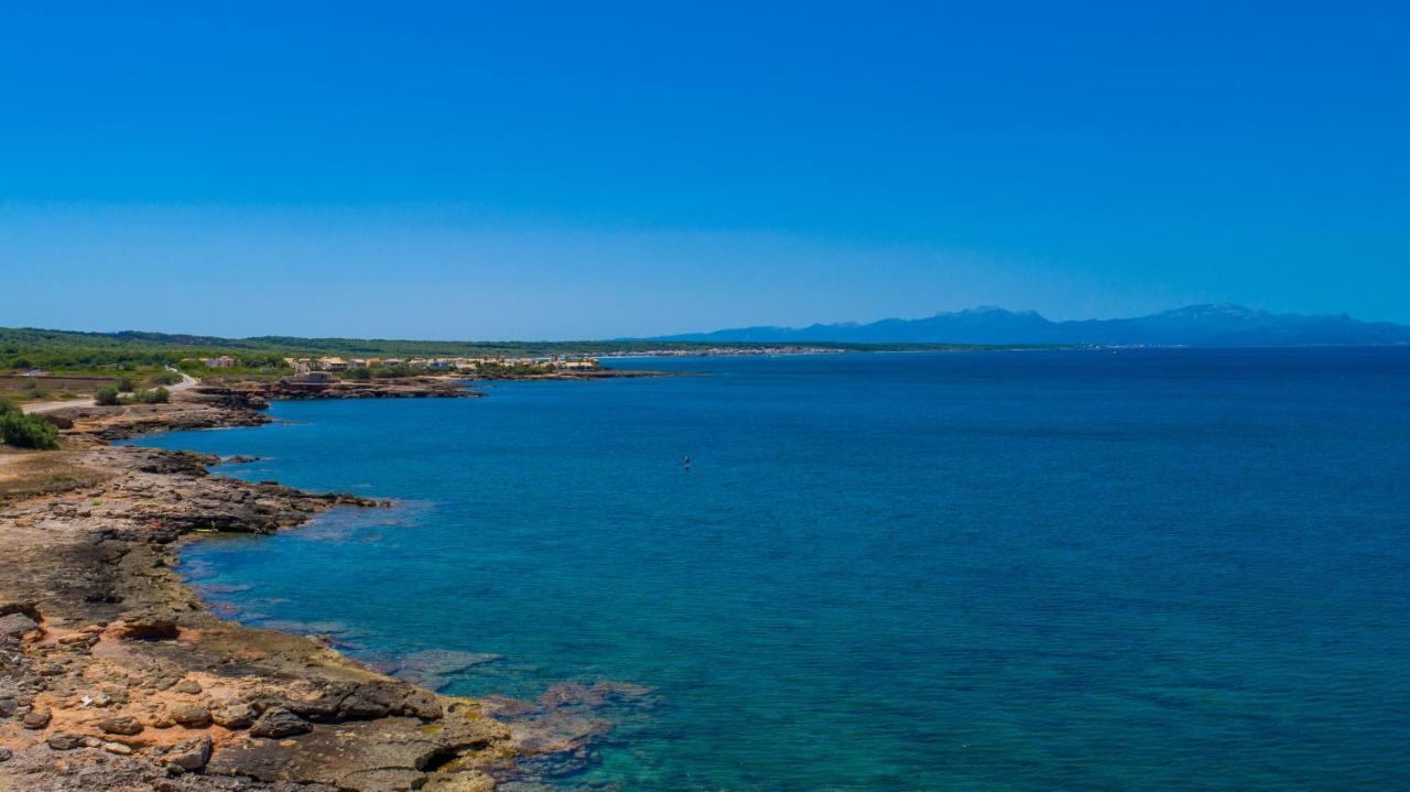 Petit Arta Villa Dış mekan fotoğraf